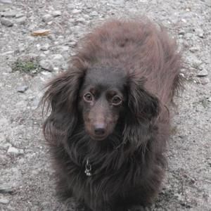 Meet your Posher, Cathie